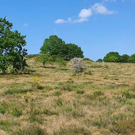 Дом отдыха Summer House In Skovgarde With Forest View *