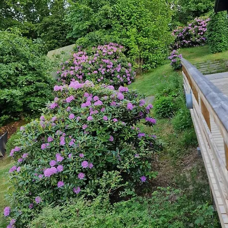 Summer House In Skovgarde With Forest View Дом отдыха Allingabro