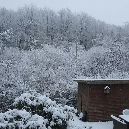 Summer House In Skovgarde With Forest View Allingabro
