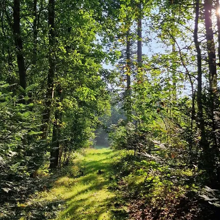 Summer House In Skovgarde With Forest View * Allingabro