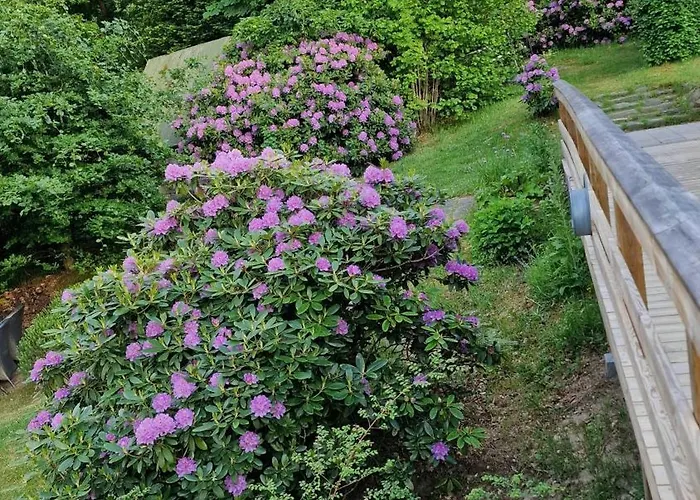 Summer House In Skovgarde With Forest View 펜션 Allingåbro